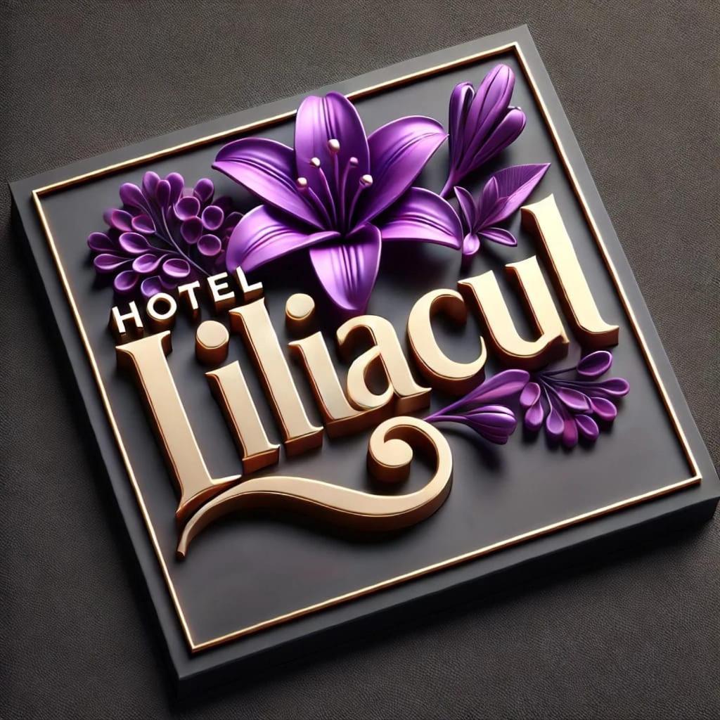 Hotel Liliacul Cluj-Napoca Exterior photo